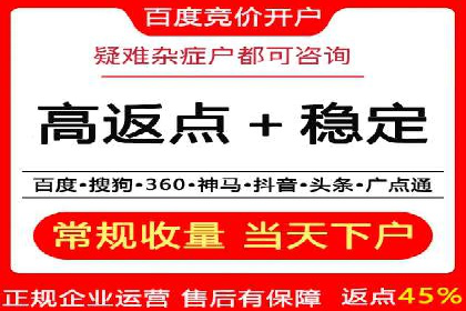 网络推广与竞价策略实战案例